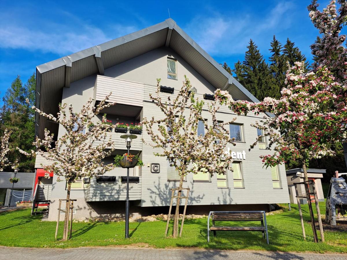 Wellness Apartment Josefina - Free Grotta Spa Wellness Harrachov Exterior photo